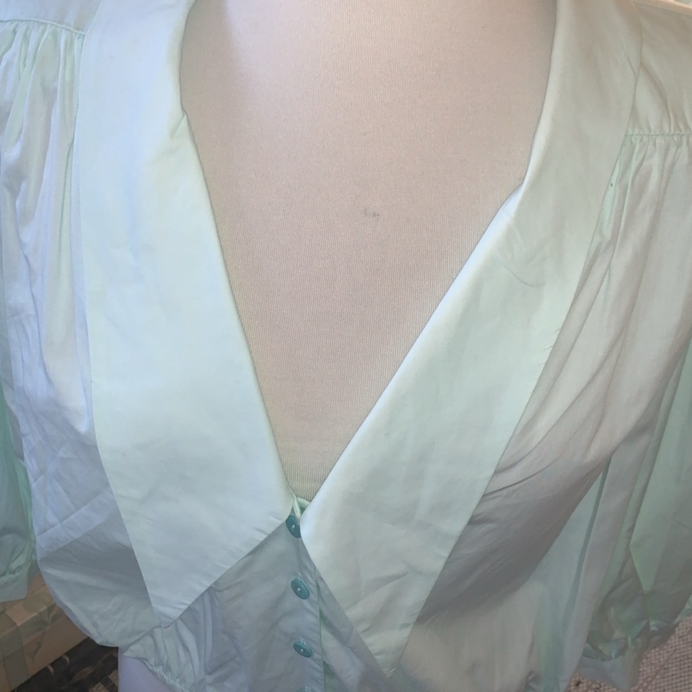 Beautiful Zara Blouse with Statement Collar..New, No Longer Sold in Stores - Picture 2 of 9